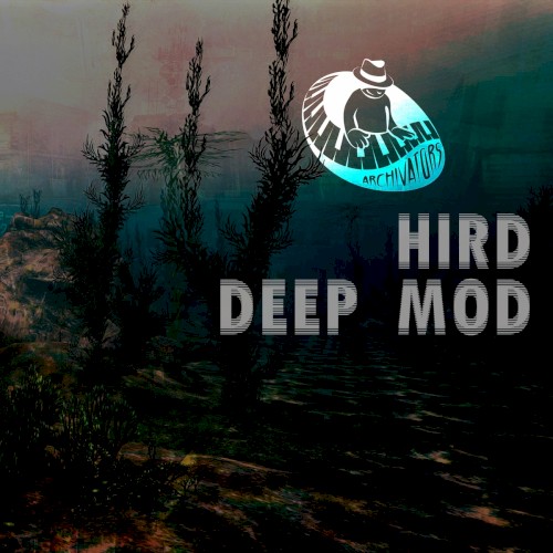 Deep Mod封面