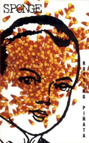 Rotting Piñata封面