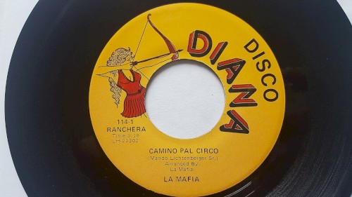 Camino pal circo / El Lion封面