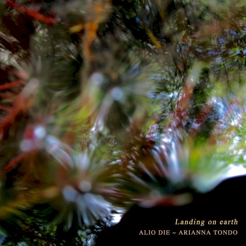 Landing on Earth封面