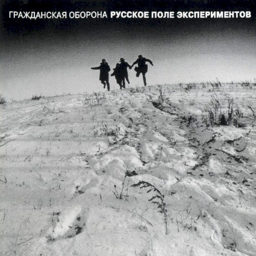 Русское поле экспериментов封面