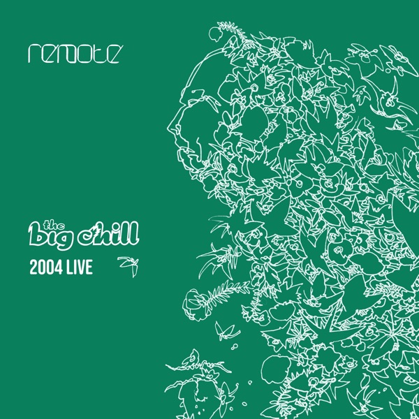 Remote: The Big Chill 2004 Live封面