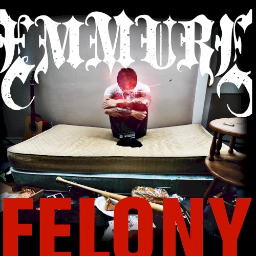 Felony封面