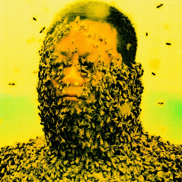 Pollination封面