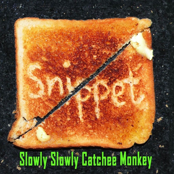 Slowly Slowly Catchee Monkey封面