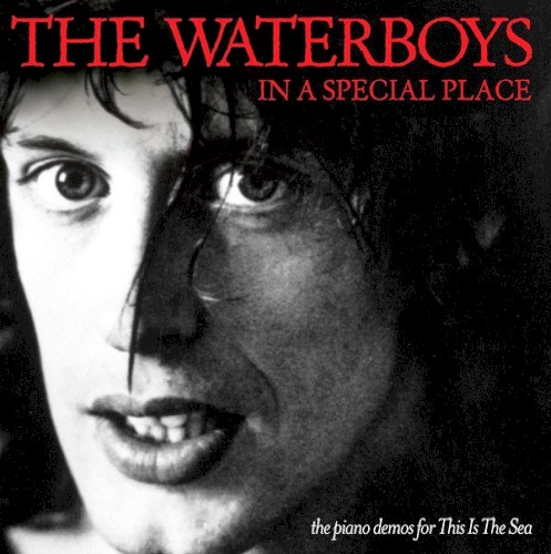 In a Special Place: The Piano Demos for This Is the Sea封面