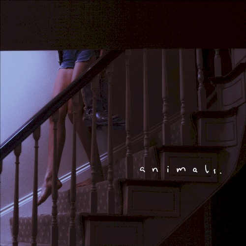 Animals封面