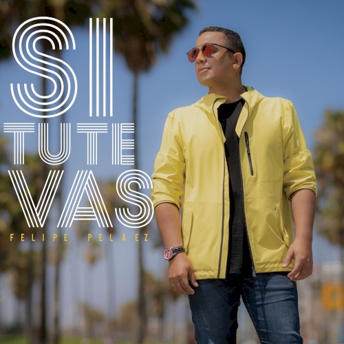 Si tú te vas封面