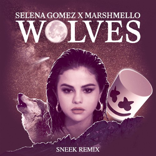 Wolves (Sneek remix)封面