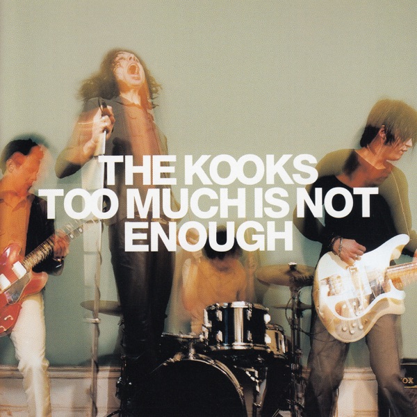 Too Much Is Not Enough封面