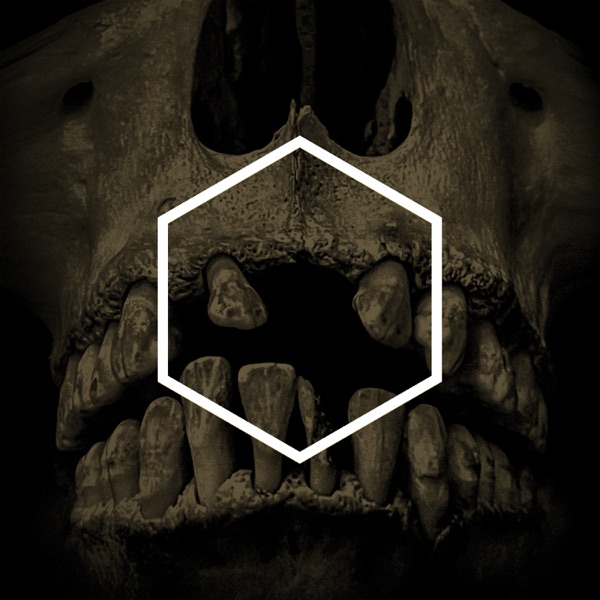 The Others [Lustmord Deconstructed]封面