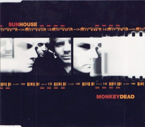 Monkey Dead封面