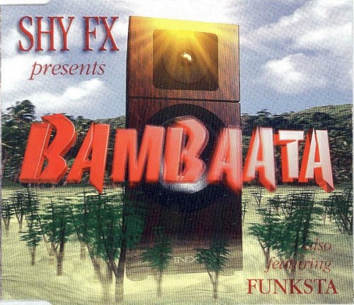 Bambaata / Funksta封面