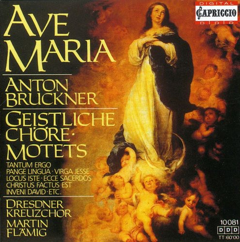 Ave Maria / Geistliche Chöre / Motets封面