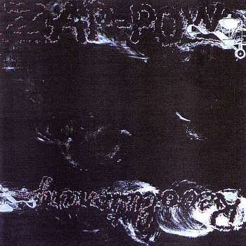 Revolutionary Zap-Pow封面