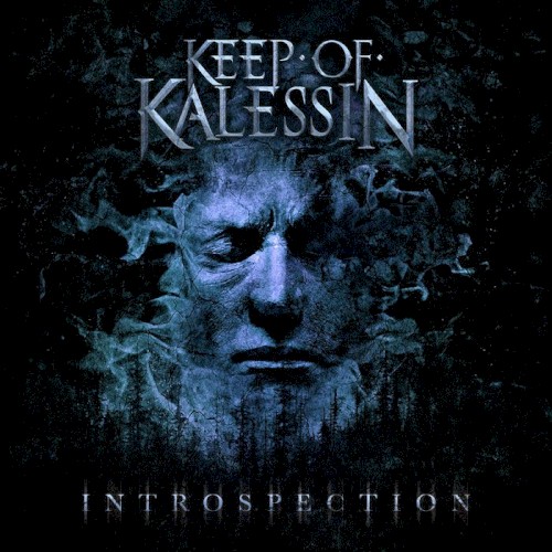 Introspection封面