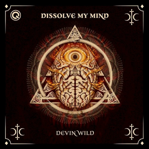 Dissolve My Mind封面