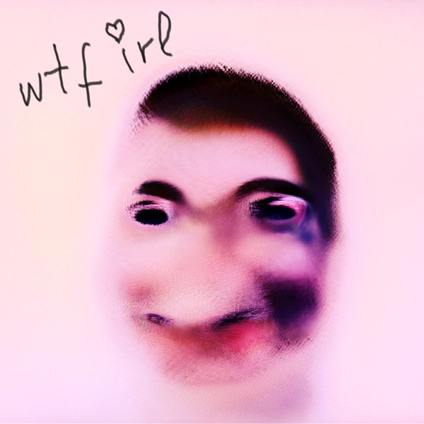 wtf irl封面
