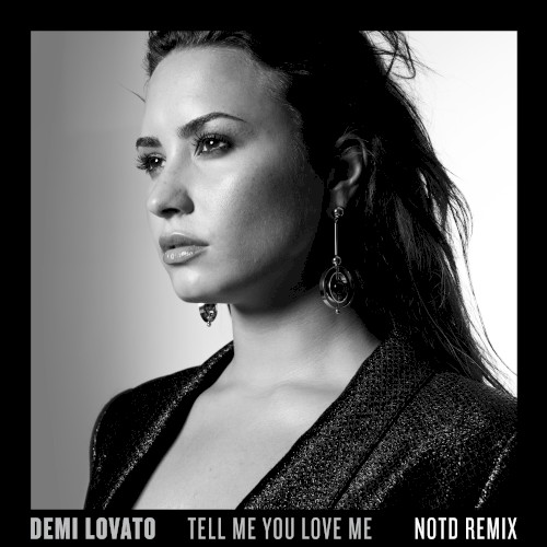 Tell Me You Love Me (NOTD remix)封面