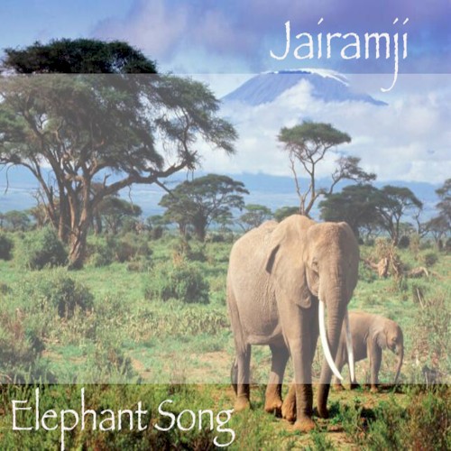 Elephant Song封面
