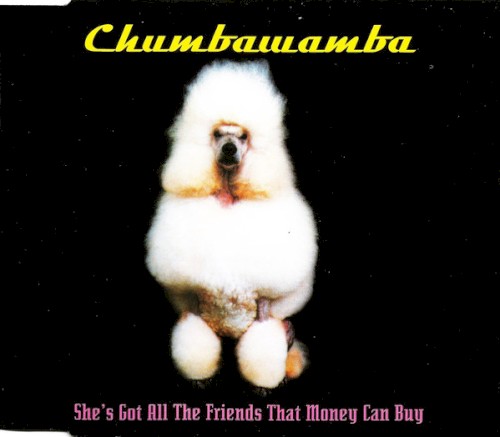 She’s Got All the Friends That Money Can Buy封面