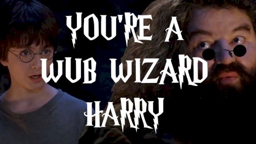 YOU’RE A WUB WIZARD HARRY…封面