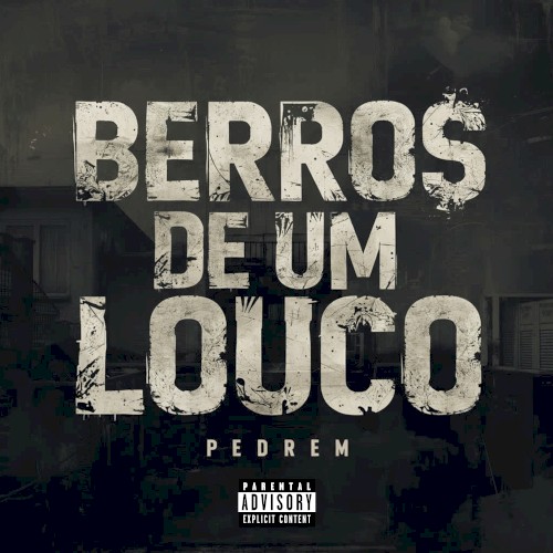 Berros de um louco封面