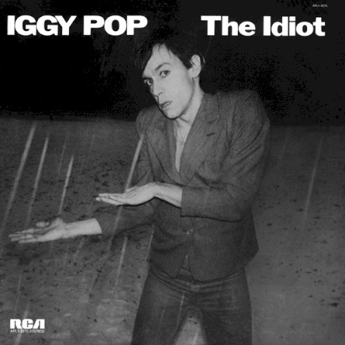 The Idiot封面