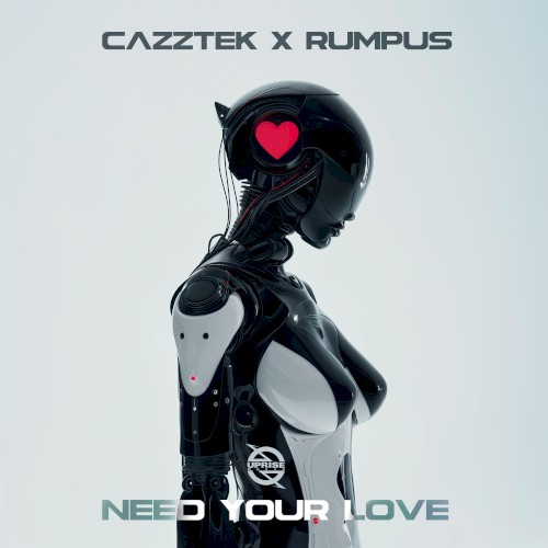 Need Your Love封面
