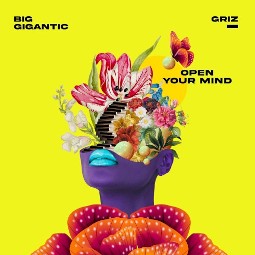 Open Your Mind封面
