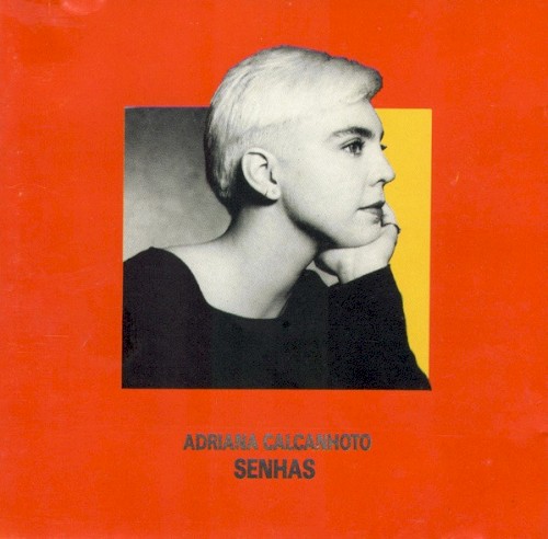 Senhas封面