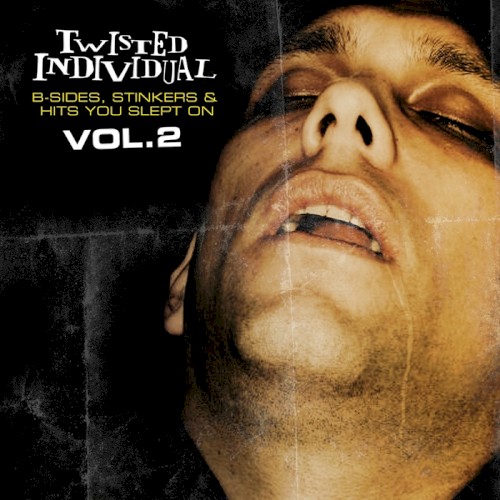 B Sides, Stinkers & Hits You Slept On, Vol. 2封面
