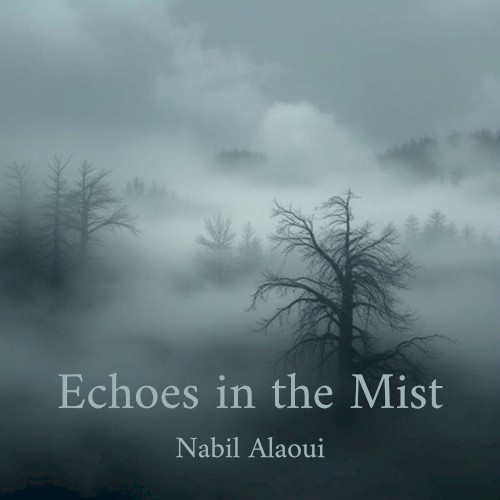Echoes in the Mist封面