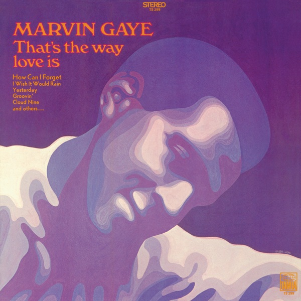 That’s the Way Love Is封面