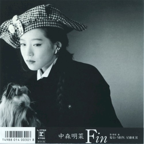 Fin封面