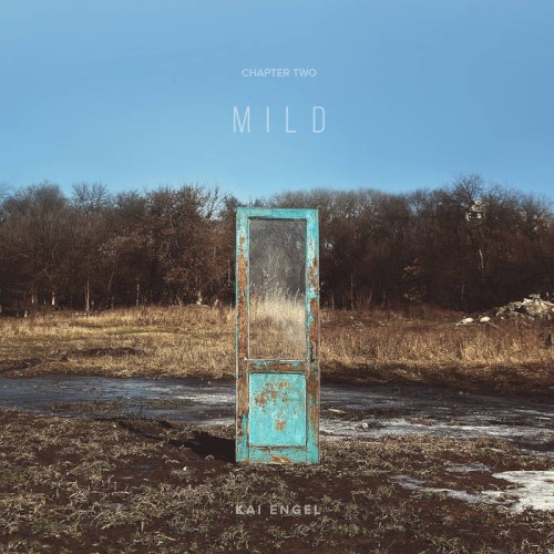 Chapter Two / Mild封面