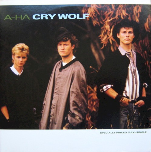 Cry Wolf封面