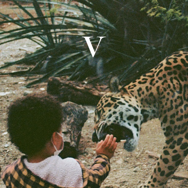V封面