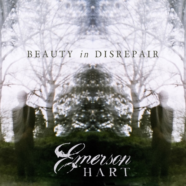 Beauty in Disrepair封面