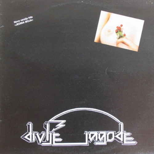 Divlje jagode封面