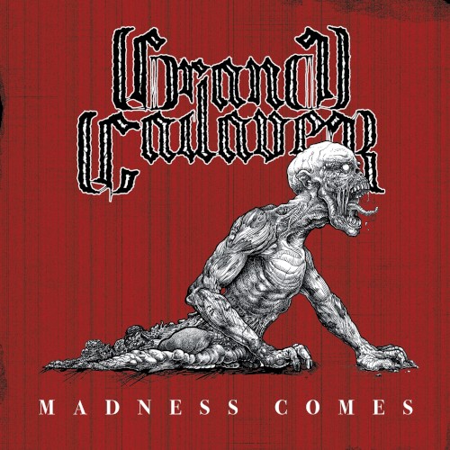 Madness Comes封面