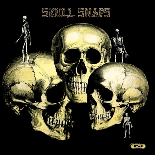 Skull Snaps封面