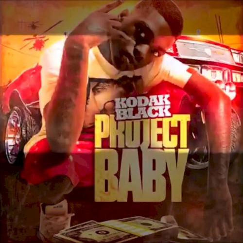 Project Baby封面