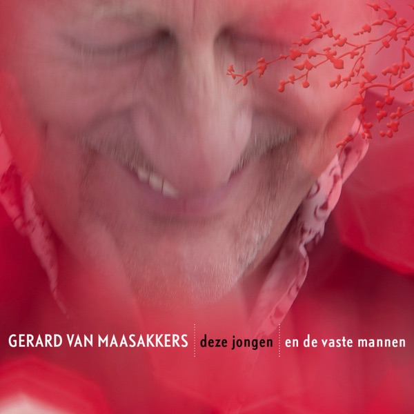 Deze jongen封面