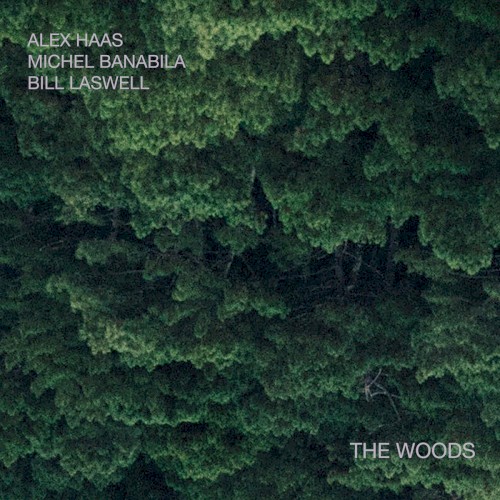 The Woods封面