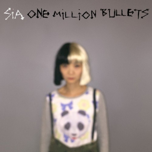One Million Bullets封面