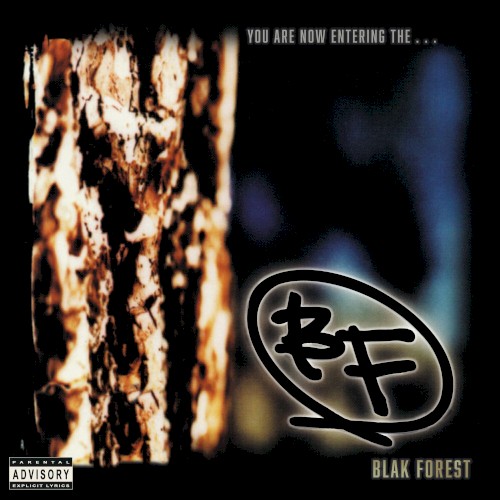 You Are Now Entering... The Blak Forest封面