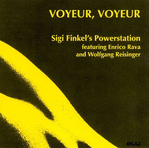 Voyeur, Voyeur封面