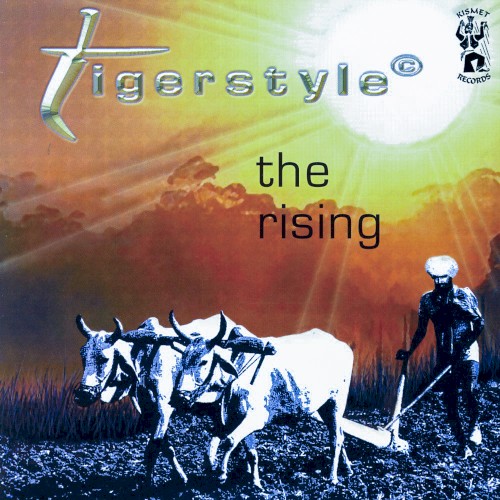 The Rising封面