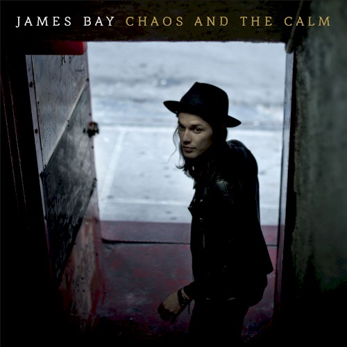 Chaos and the Calm封面